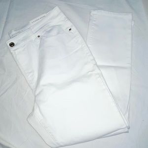 The Platinum Jegging Slim Fit Chico’s Petite 2